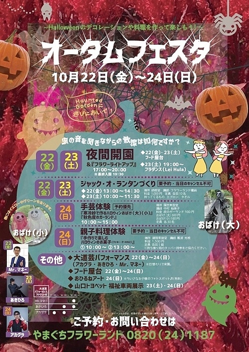 5　参考の画像