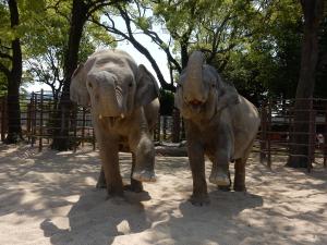 徳山動物園の写真
