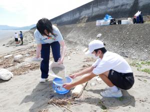 マイクロプラスチック