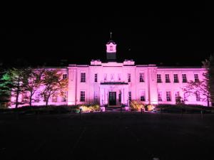 県政資料館（旧県会議事堂）