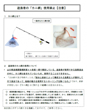 カニ網