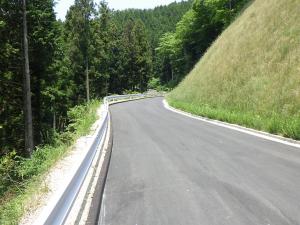 林道高岳線（周南市鹿野）2