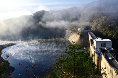 「朝霧晴れ」二ノ丸卓成（下松市）