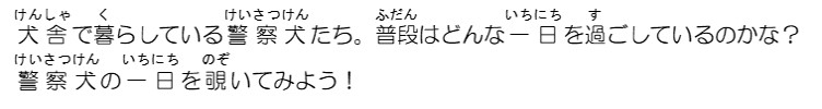 犬舎で暮らしている警察犬たち。普段はどんな一日を過ごしているのかな？警察犬の一日を覗いてみよう。