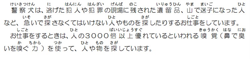 警察犬は逃げた犯人や犯罪の現場に残された遺留品、山で迷子になった人など、急いで探さなくてはいけない人や物を探したりするお仕事をしています。お仕事をするときは人の3000倍以上優れているといわれる嗅覚を使って人や物を探しています。