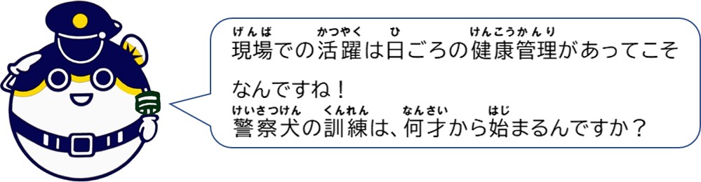 現場での活躍は日頃の健康管理があってこそなんですね！警察犬の訓練は何歳から始まるんですか？