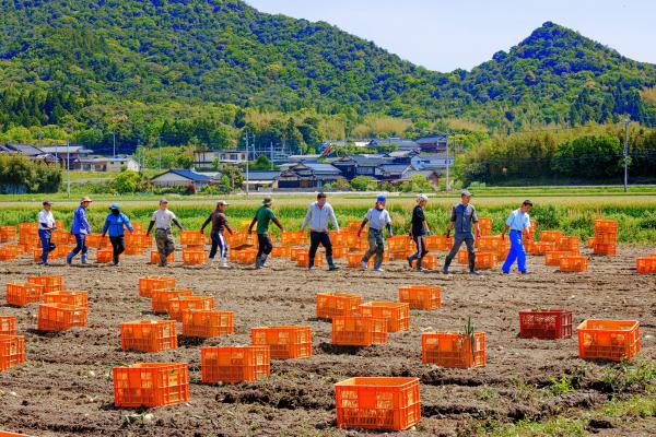 山口県知事賞受賞作品