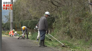 みんなできれいに！地域の道路