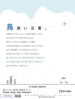 鳥扱い注意。