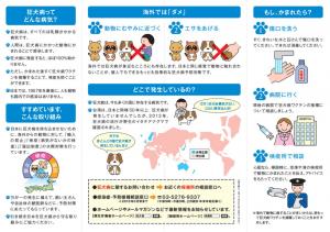 狂犬病予防②