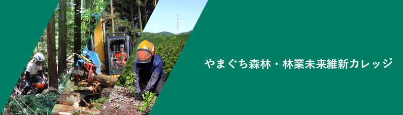 タイトル