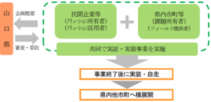デジタル実装推進事業　スキーム図