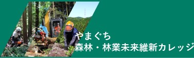 バナー