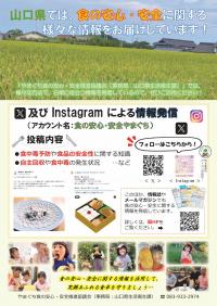 情報発信