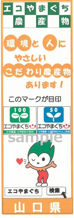 エコやまPR資料（縦型）