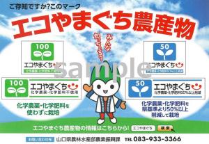 エコやまPR資料（横型）