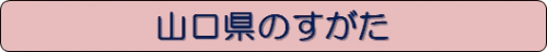 すがた