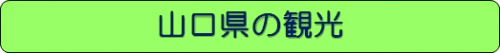 観光