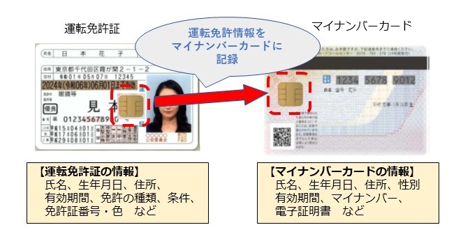 マイナ一体化のイメージ