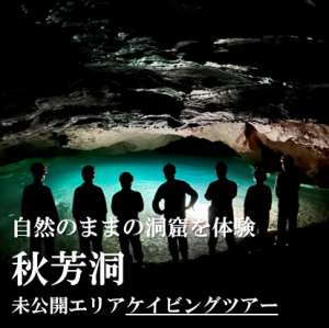 秋芳洞未公開エリアケイビングツアー