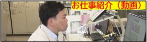 お仕事紹介平岡くん