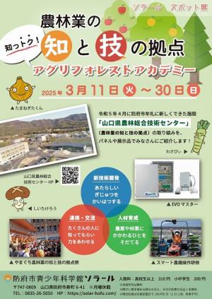 ソラール スポット展チラシ