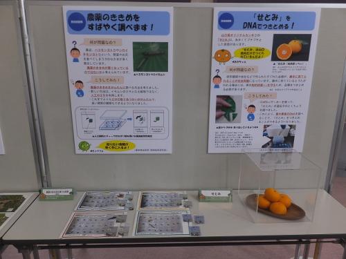 ソラール スポット展01