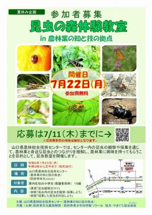 昆虫の森募集チラシ