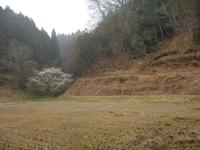 里山等整備支援事業