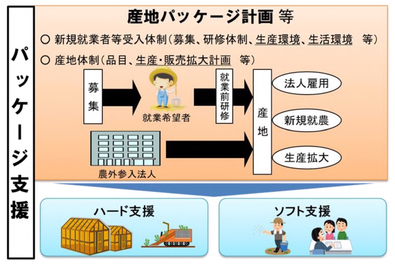 新規就業者等産地拡大促進事業イメージ図