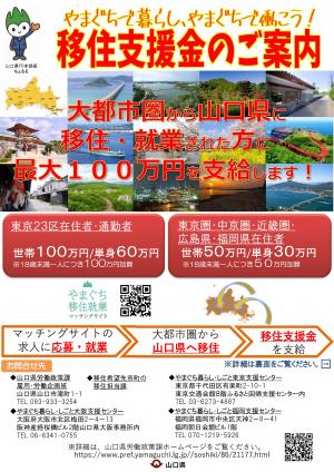移住支援金チラシ