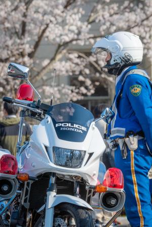 願いは交通安全