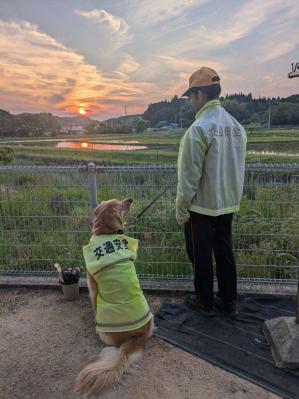 太陽に吠えろ、相棒と交通祈願