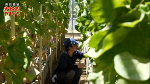 【サムネ画像】農業大学校で新たな一歩を踏み出そう！