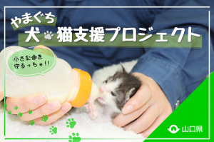 プロジェクト画像