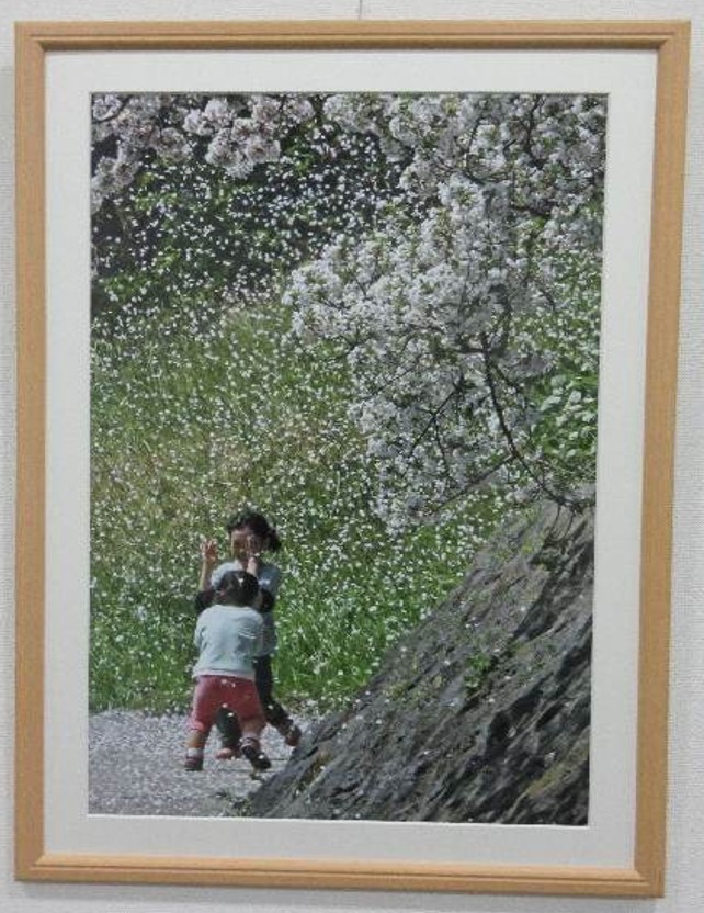 入賞作品 写真部門 「桜吹雪」