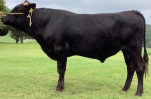 貴華福の全体像