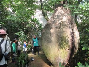 植物館でのクイズラリーの様子