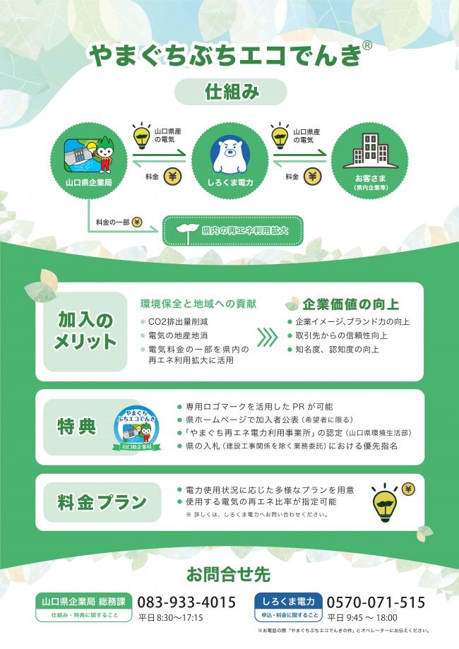 【チラシ（裏面）】やまぐちぶちエコでんき