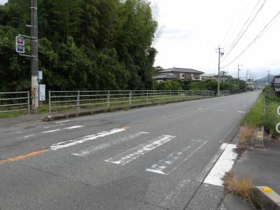 横断歩道