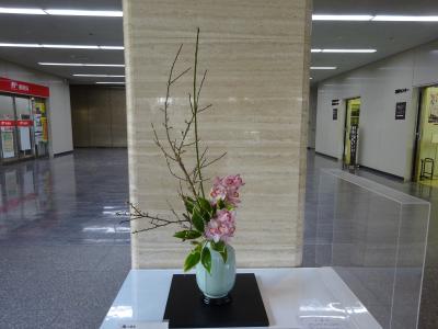 令和8年1月13日