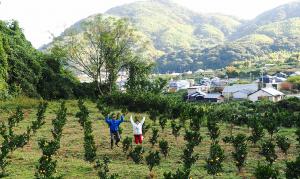 挑戦のジャンプ