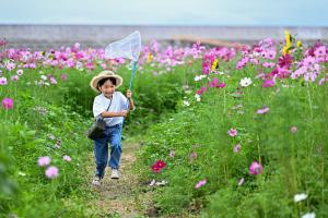 ちょうちょ、待って!