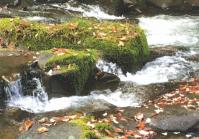 そうぞうをこえるたたみがふち