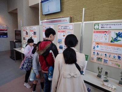 展示の様子