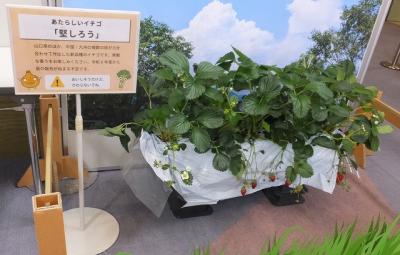 けんしろう