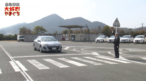 【サムネ画像】止まっていますか？横断歩道