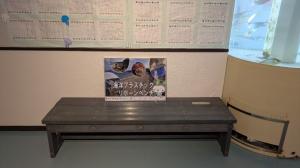 海洋プラスチックリボーンベンチ（なぎさ水族館）