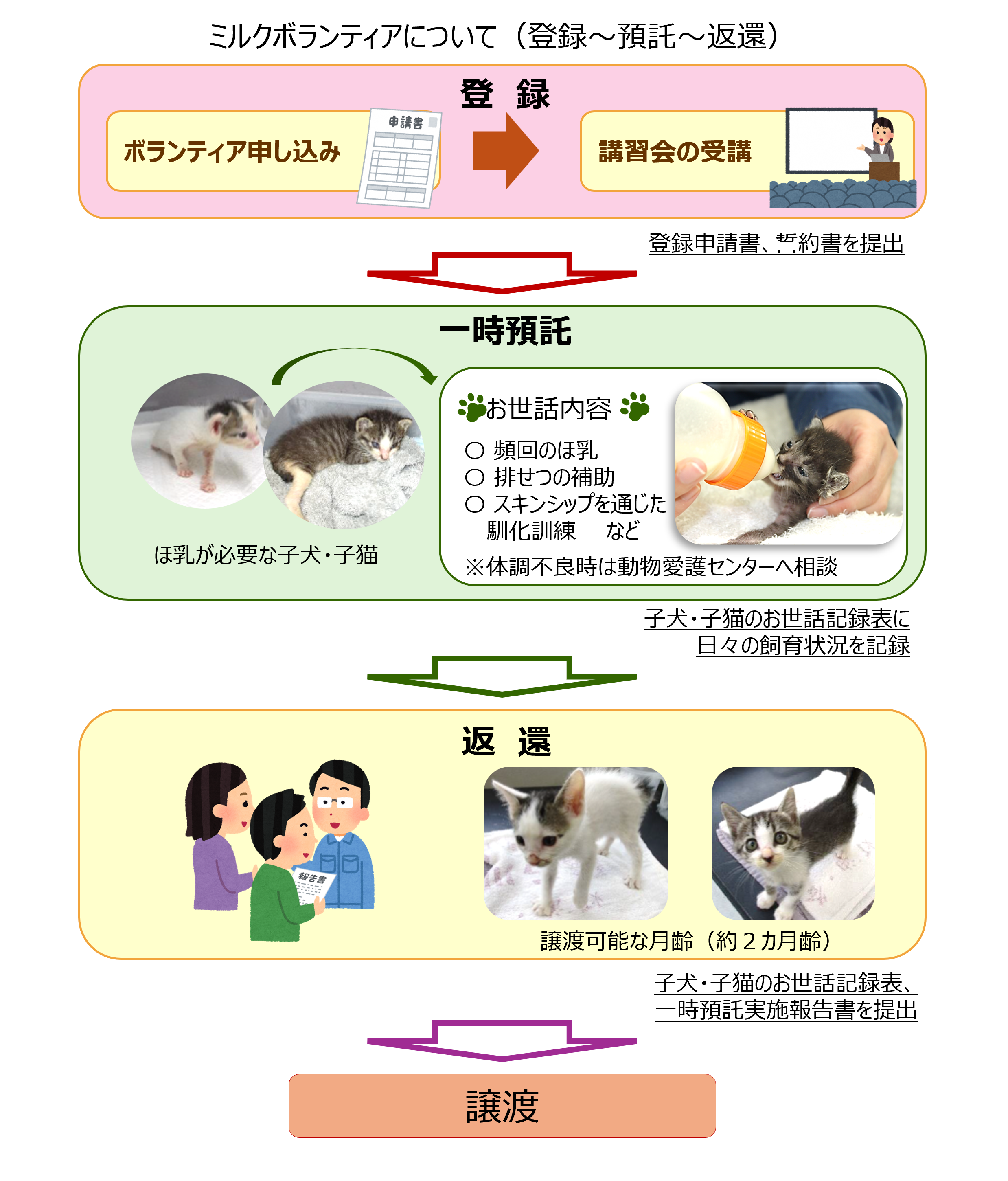 実施の流れ