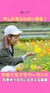 【サムネイル】【20周年】今、この絶景を見逃さないで！「やまぐちフラワーランド」！